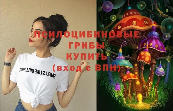 спиды Алексеевка