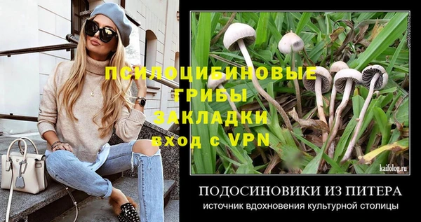 спиды Алексеевка