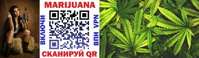 что такое   МЕГА как войти  Бошки марихуана SATIVA & INDICA  Жуков 